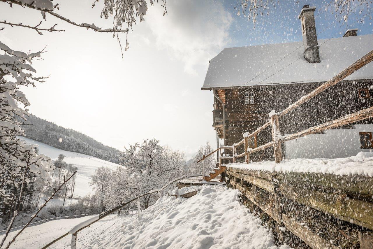 Вилла Urlaub Auf Der Alm "Deluxe" Preggraben Экстерьер фото