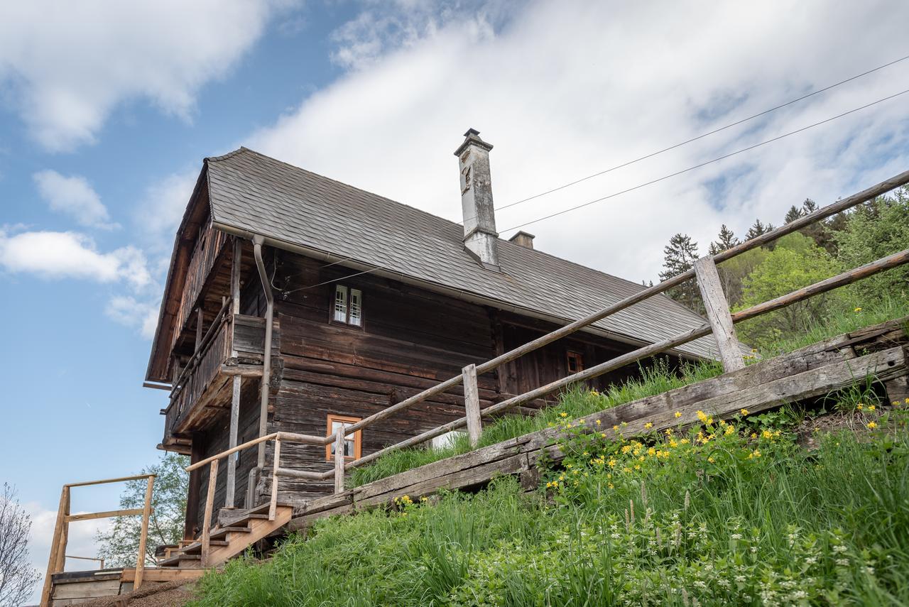Вилла Urlaub Auf Der Alm "Deluxe" Preggraben Экстерьер фото