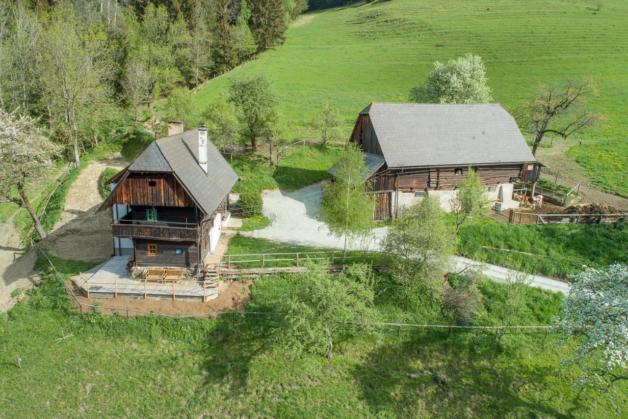 Вилла Urlaub Auf Der Alm "Deluxe" Preggraben Экстерьер фото