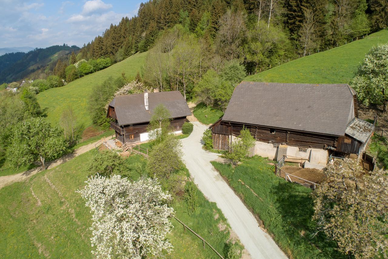 Вилла Urlaub Auf Der Alm "Deluxe" Preggraben Экстерьер фото