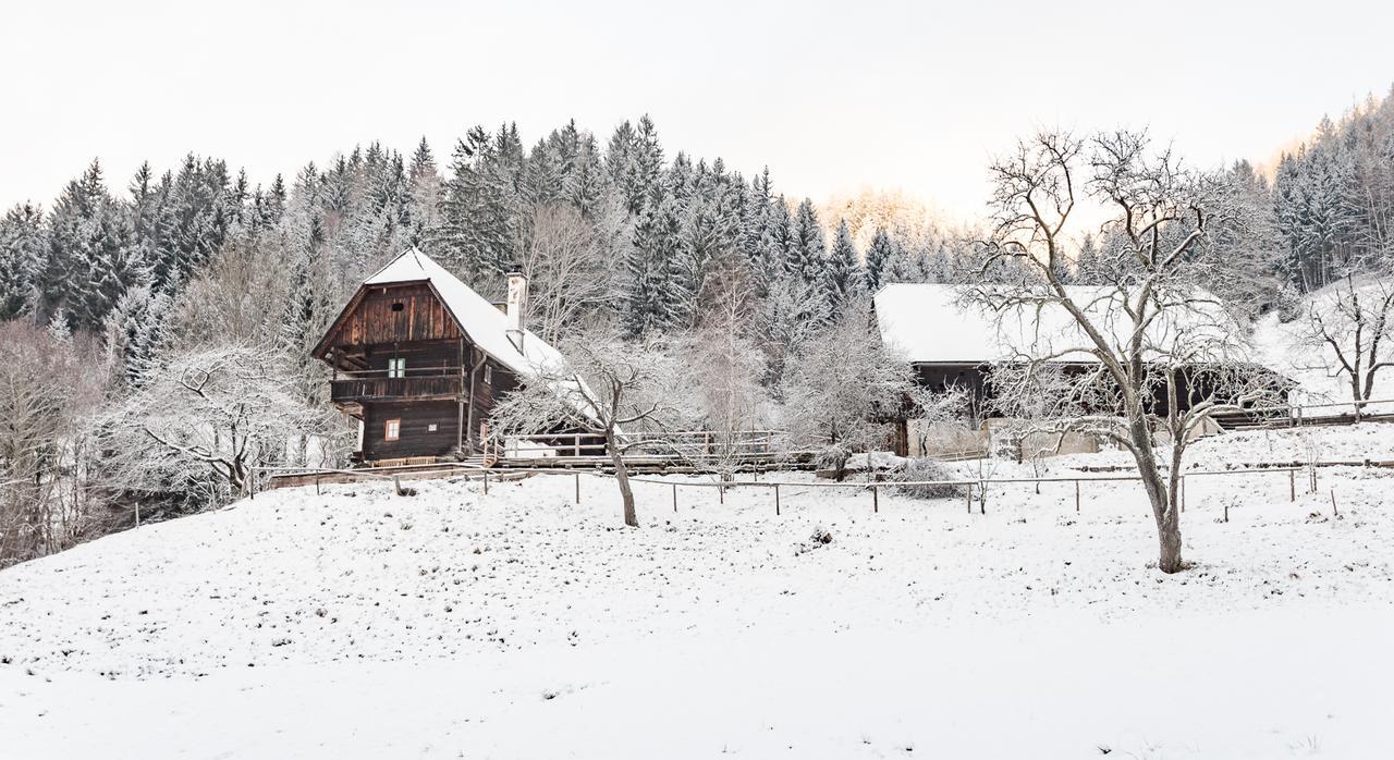 Вилла Urlaub Auf Der Alm "Deluxe" Preggraben Экстерьер фото